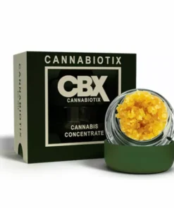 Cannabiotix (CBX) Cereal Milk (H) - Terp Sugar