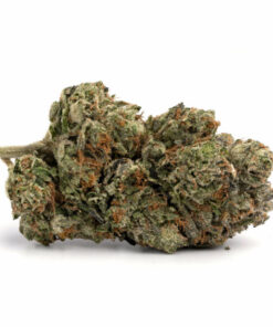 G13