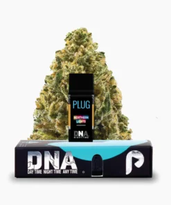PLUGplay | PLUG™ DNA: Northern Lights Pod – 1.0g
