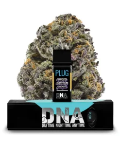 PLUGplay | PLUG™ DNA: Sugar Daddy Purple Pod – 1.0g