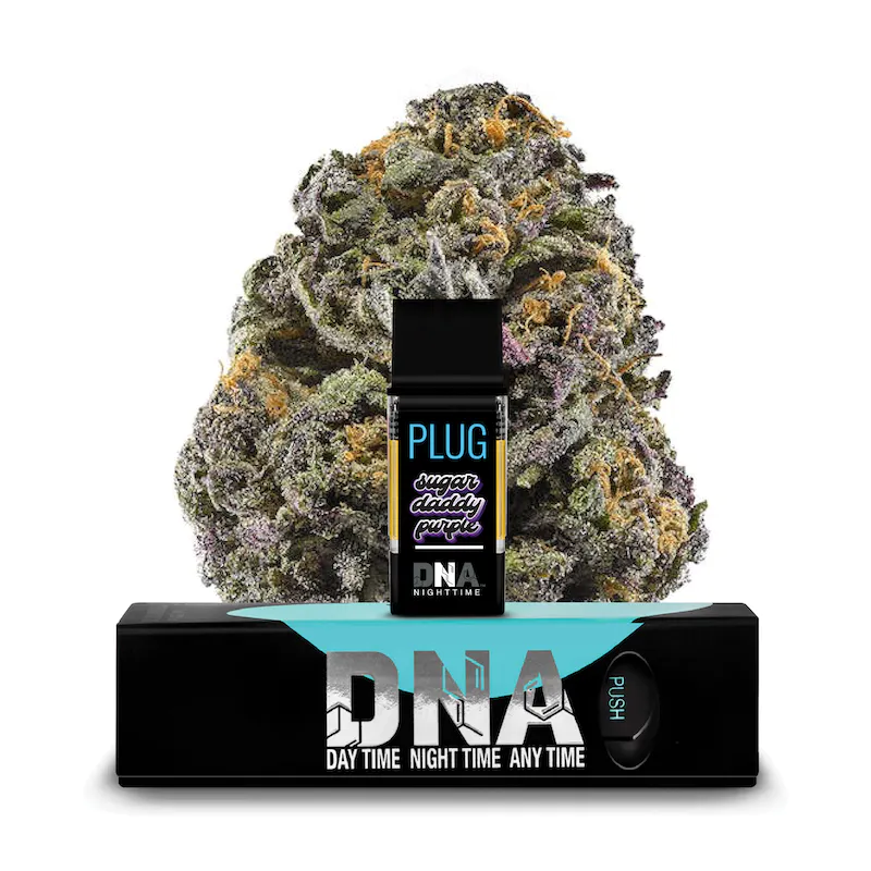 plugplay-plug-dna-sugar-daddy-purple-pod-10g.webp