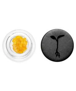 RAW GARDEN | Lemon Sour Diesel – Live Resin – 1.0g
