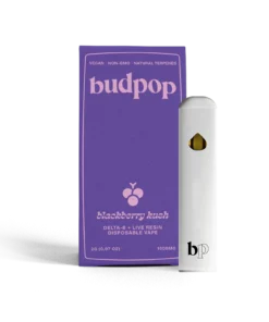 Budpop Delta 8 + Live Resin 2g Disposables (1600 mg) – Blackberry Kush
