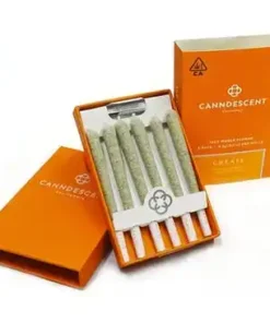 Canndescent Create 310 .5g Pre-roll 6 Pack