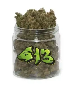 buy G13 online