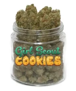 Buy Girl Scout Cookies