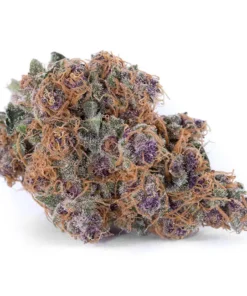 Blue Dream Strain