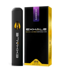 Exhale Wellness Delta 8 Live Resin Disposable Vape | 2g